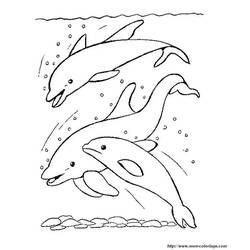 Coloring page: Dolphin (Animals) #5251 - Printable coloring pages