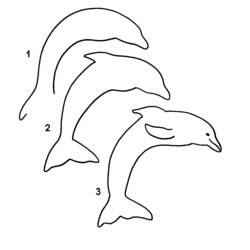Coloring page: Dolphin (Animals) #5267 - Free Printable Coloring Pages