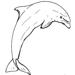 Coloring page: Dolphin (Animals) #5272 - Free Printable Coloring Pages