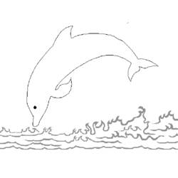 Coloring page: Dolphin (Animals) #5278 - Free Printable Coloring Pages