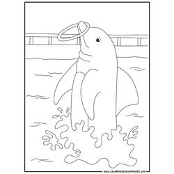 Coloring page: Dolphin (Animals) #5281 - Free Printable Coloring Pages