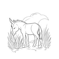 Donkey (Animals) coloring page #197861 to print and color