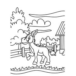 Donkey (Animals) coloring page #197862 to print and color