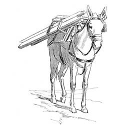 Donkey (Animals) coloring page #197885 to print and color