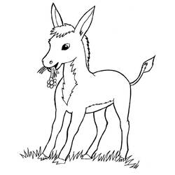 Coloring page: Donkey (Animals) #478 - Printable coloring pages