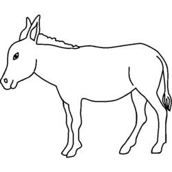 Coloring page: Donkey (Animals) #497 - Printable coloring pages