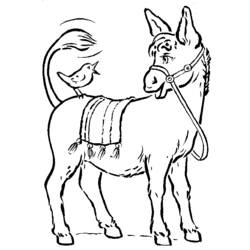 Coloring page: Donkey (Animals) #509 - Printable coloring pages