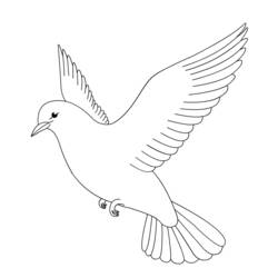 Coloring page: Dove (Animals) #3895 - Printable coloring pages