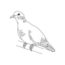 Coloring page: Dove (Animals) #3903 - Free Printable Coloring Pages