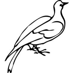 Coloring page: Dove (Animals) #3910 - Free Printable Coloring Pages