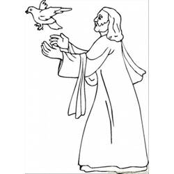 Coloring page: Dove (Animals) #3941 - Free Printable Coloring Pages