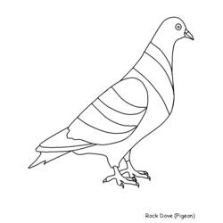 Coloring page: Dove (Animals) #3983 - Free Printable Coloring Pages