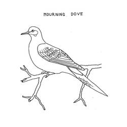 Coloring page: Dove (Animals) #4005 - Free Printable Coloring Pages