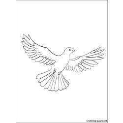 Coloring page: Dove (Animals) #4008 - Free Printable Coloring Pages