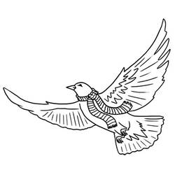 Coloring page: Dove (Animals) #4010 - Free Printable Coloring Pages