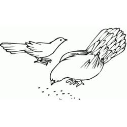 Coloring page: Dove (Animals) #4050 - Free Printable Coloring Pages