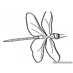 Coloring page: Dragonfly (Animals) #10002 - Free Printable Coloring Pages