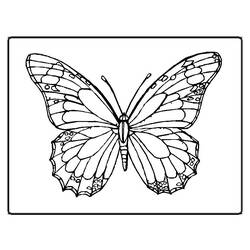 Coloring page: Dragonfly (Animals) #10016 - Free Printable Coloring Pages