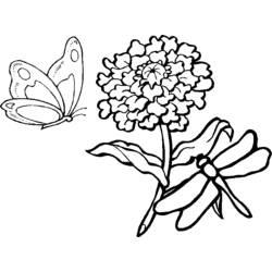 Coloring page: Dragonfly (Animals) #10023 - Free Printable Coloring Pages