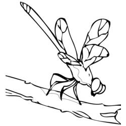 Coloring page: Dragonfly (Animals) #10035 - Free Printable Coloring Pages