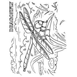 Coloring page: Dragonfly (Animals) #10037 - Free Printable Coloring Pages