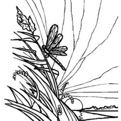 Coloring page: Dragonfly (Animals) #10039 - Free Printable Coloring Pages