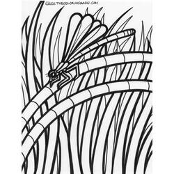 Coloring page: Dragonfly (Animals) #10045 - Free Printable Coloring Pages