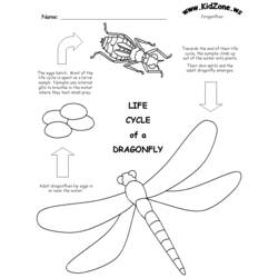 Coloring page: Dragonfly (Animals) #10052 - Free Printable Coloring Pages