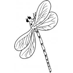 Coloring page: Dragonfly (Animals) #10061 - Printable coloring pages