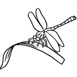 Dragonfly (Animals) coloring page #196570 to print and color