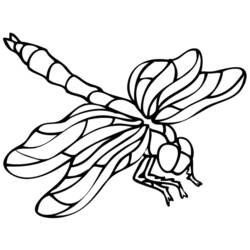 Coloring page: Dragonfly (Animals) #9881 - Printable coloring pages