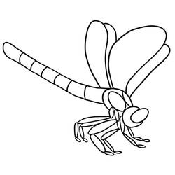 Coloring page: Dragonfly (Animals) #9886 - Free Printable Coloring Pages