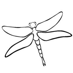 Coloring page: Dragonfly (Animals) #9906 - Printable coloring pages