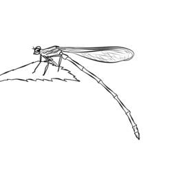 Coloring page: Dragonfly (Animals) #9914 - Free Printable Coloring Pages