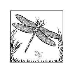 Coloring page: Dragonfly (Animals) #9936 - Free Printable Coloring Pages