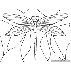 Coloring page: Dragonfly (Animals) #9944 - Free Printable Coloring Pages