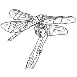 Coloring page: Dragonfly (Animals) #9966 - Free Printable Coloring Pages