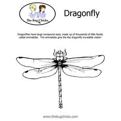 Coloring page: Dragonfly (Animals) #9970 - Free Printable Coloring Pages