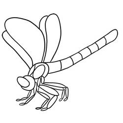 Coloring page: Dragonfly (Animals) #9995 - Free Printable Coloring Pages