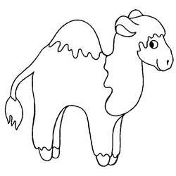 Coloring page: Dromedary (Animals) #5915 - Printable coloring pages