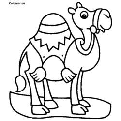 Coloring page: Dromedary (Animals) #5916 - Free Printable Coloring Pages
