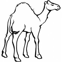 Coloring page: Dromedary (Animals) #5935 - Printable coloring pages