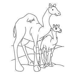 Coloring page: Dromedary (Animals) #5940 - Printable coloring pages