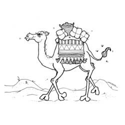 Coloring page: Dromedary (Animals) #5947 - Printable coloring pages