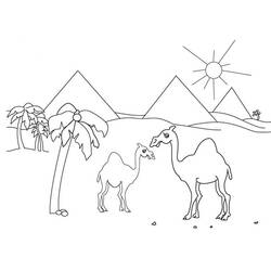 Coloring page: Dromedary (Animals) #5950 - Printable coloring pages