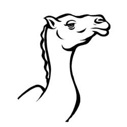 Coloring page: Dromedary (Animals) #5955 - Free Printable Coloring Pages