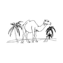 Coloring page: Dromedary (Animals) #5975 - Printable coloring pages