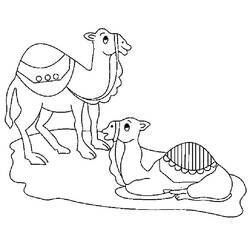 Coloring page: Dromedary (Animals) #5977 - Printable coloring pages