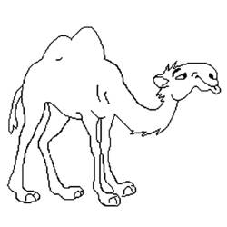 Coloring page: Dromedary (Animals) #5981 - Printable coloring pages
