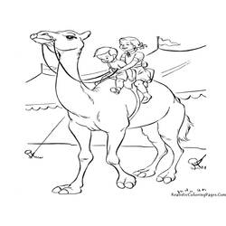 Coloring page: Dromedary (Animals) #5994 - Printable coloring pages